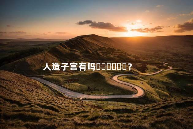 人造子宫有吗？